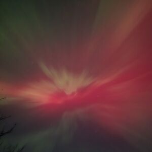 Meet your Posher, Shone